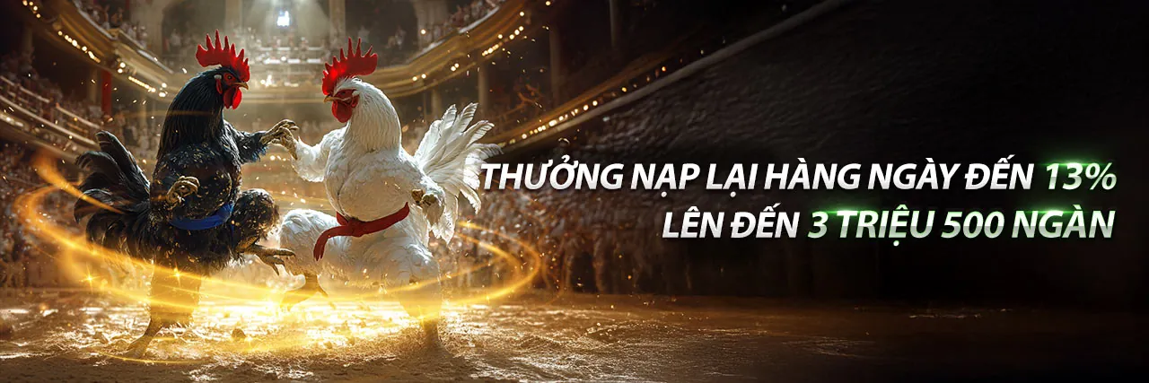 da ga truc tiep hom nay - nền tảng cá cược trực tuyến uy tín hàng đầu